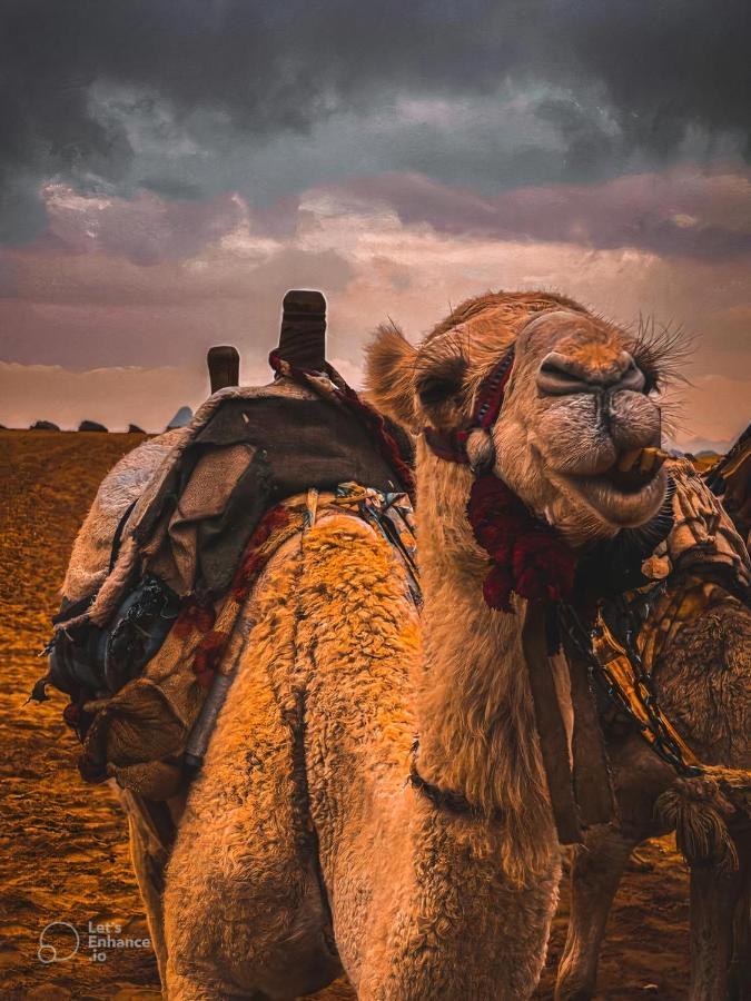 ホテル Wadi Rum Al-Omar エクステリア 写真