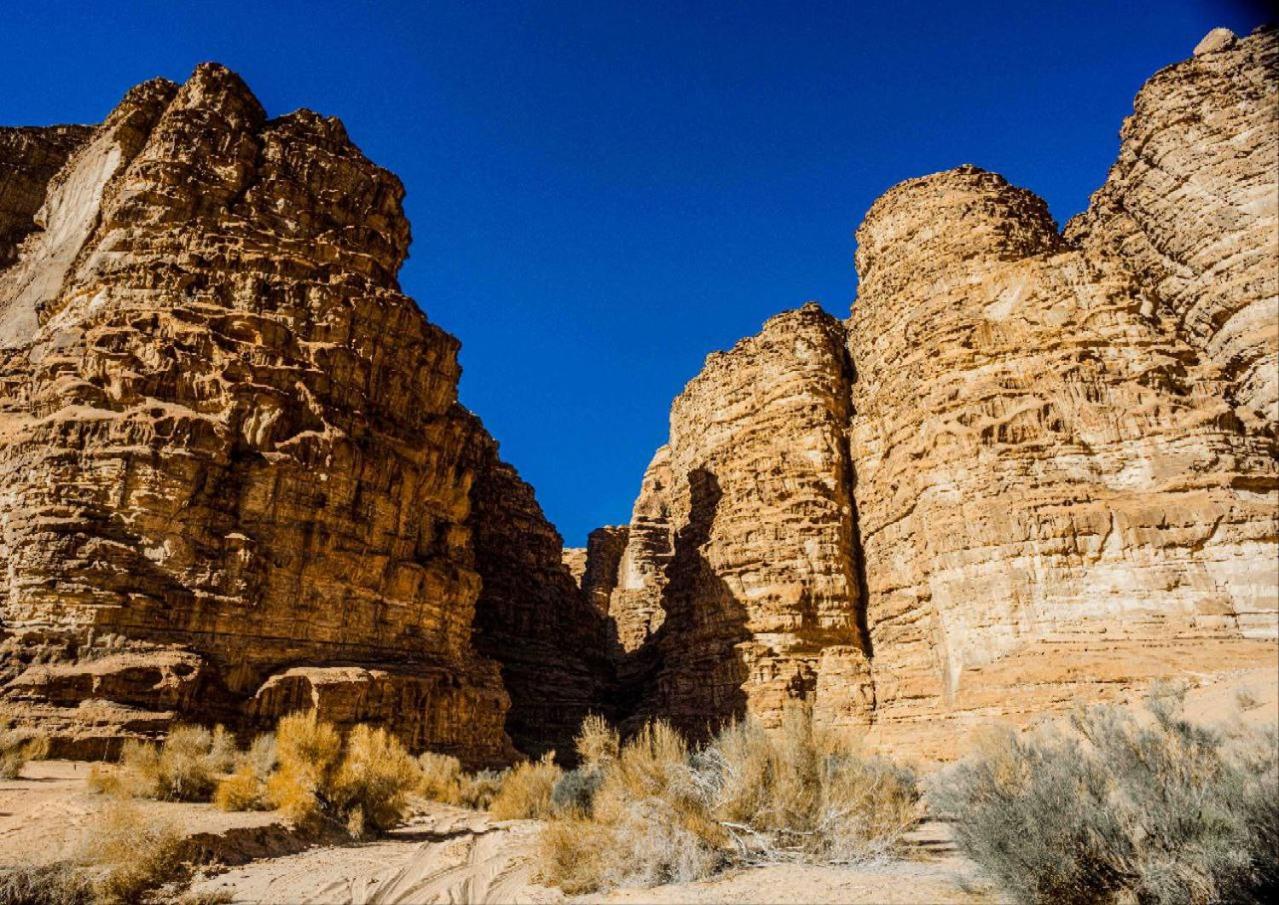 ホテル Wadi Rum Al-Omar エクステリア 写真