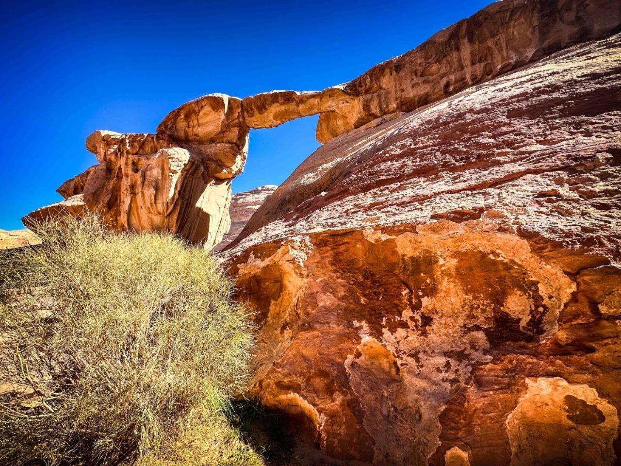 ホテル Wadi Rum Al-Omar エクステリア 写真